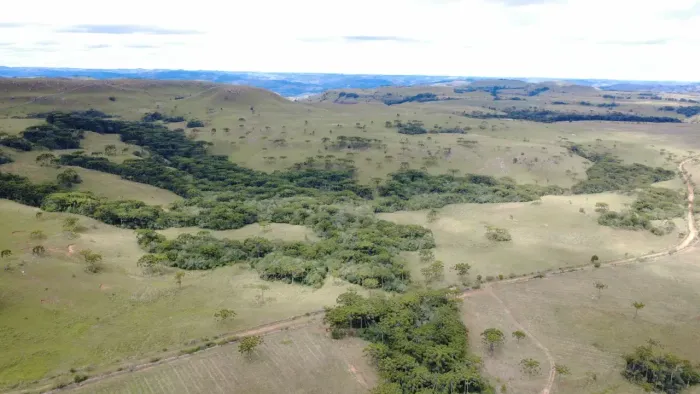 Fazenda à venda com 170,3 hectares - LagesSC