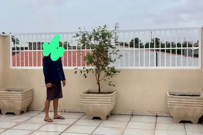 Jarros para plantas grandes árvores