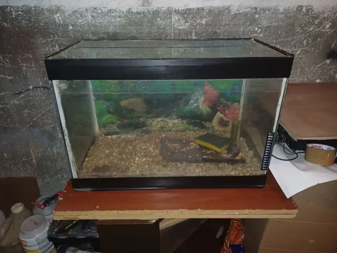 Aquário 50l