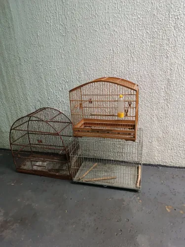 Vendo três gaiola de passarinho