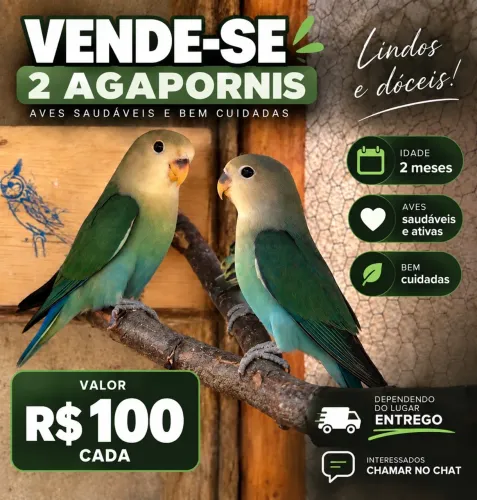 Vendo esses 2 cada um está a R$100
