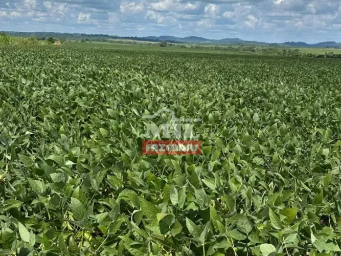 Fazenda 2.450 hectares Marabá - PA