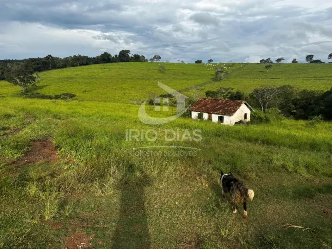 Fazenda para Venda em Carmo da Mata, Área Rural, 3 dormitórios, 2 banheiros, 3 vagas