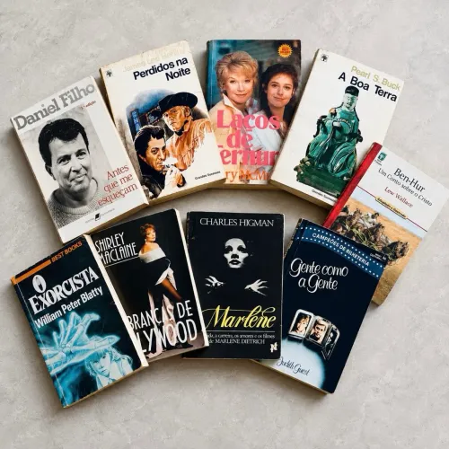 Livros diversos (lote)