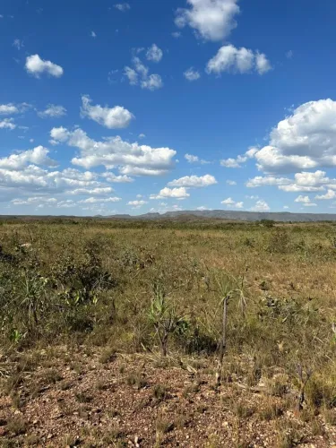 Vendo fazenda município de Niquelandia-GO, 266.5 alqueires, planta 120 alqueires de soja