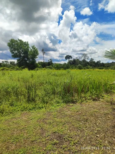 Lindo Sítio a venda lugar de paz ,tranquilidade é segurança.