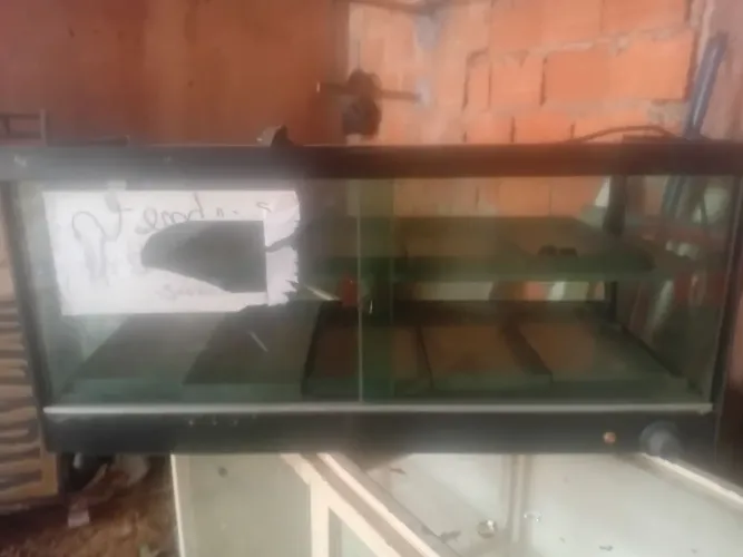 Estufa 10 bandejas