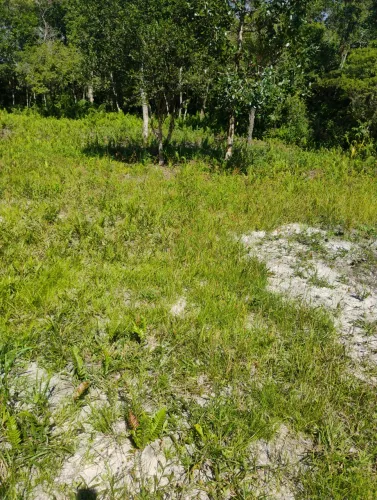 Vendo terreno/chácara 1.500metros