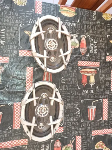 Auto falante 6x9 seleniun