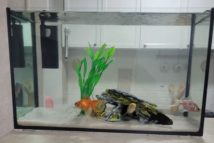 Aquário 25 litros com acessórios!