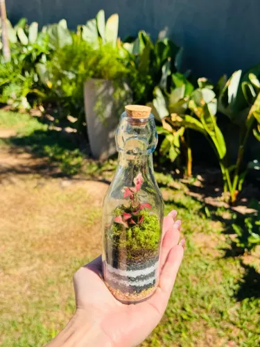 Terrário de Vidro com Plantas Naturais