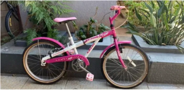 Bicicleta Ceci Luli Aro 20 