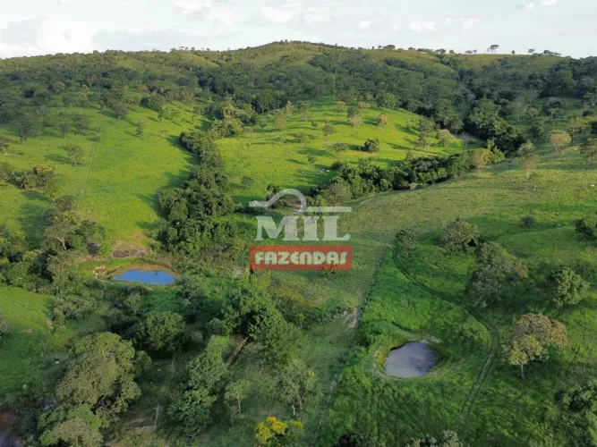 Fazenda 39,5 Alqueires (191 hectares) Caldazinha - GO