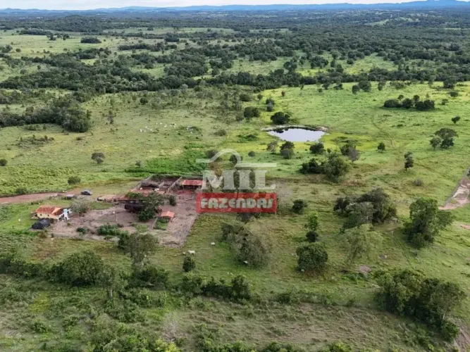 Fazenda de 150 alqueires (726 hectares) em Araguapaz - GO