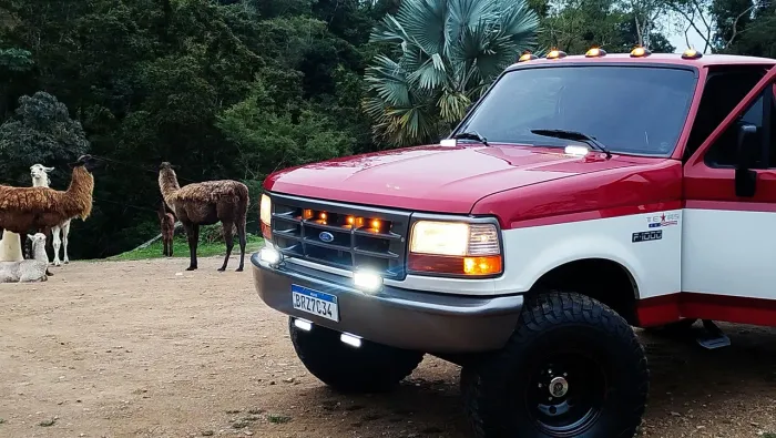 Ford F-1000 Regular Cab. 4.9i 1997