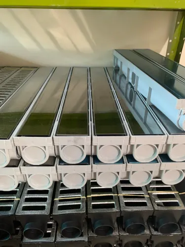 Ralo Linear invencível inox 50x6 novo