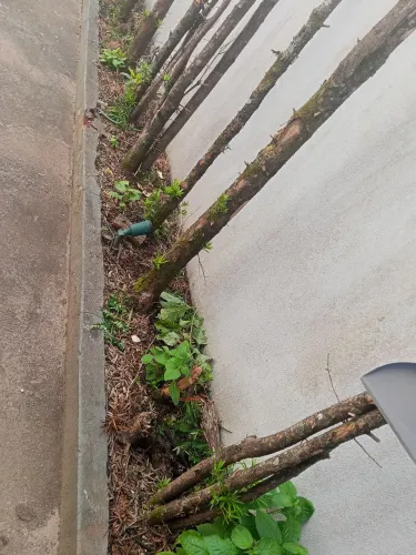 Fazemos limpeza de lote e diversas serviços