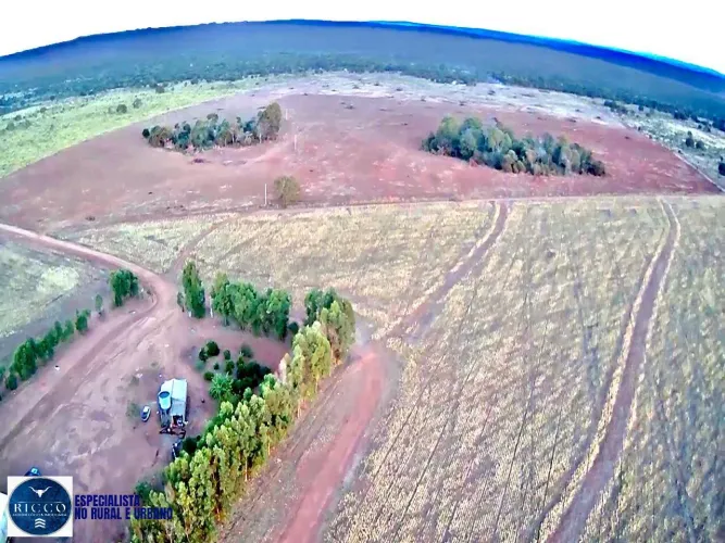 Fazenda à Venda em Baliza  GO | 104 Alqueires | Lavoura