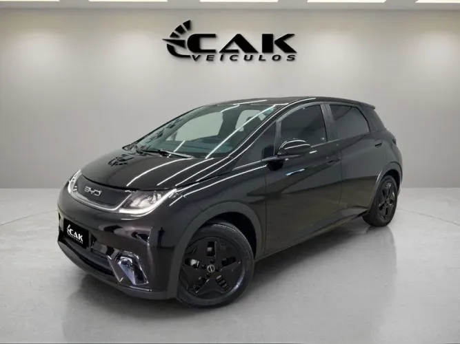 BYD Dolphin GS (Elétrico) 2024