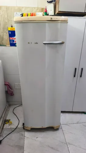 Freezer Vertical Electrolux