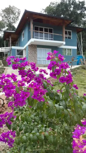 Belo Sítio com 32.549,90metros quadrados. Bairro Linha Olinda , Nova Petrópolis RS! REF: 9