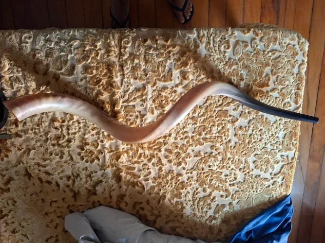 Shofar