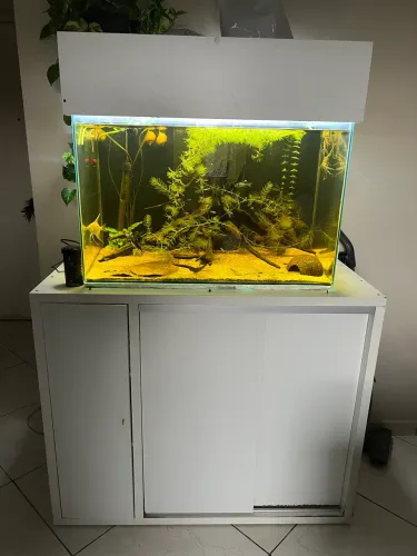 Aquário 150 litros + Samp externo