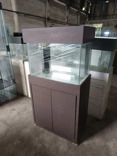 Aquário 60*40*40 completo 