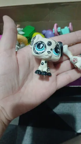 LPS DALMATA