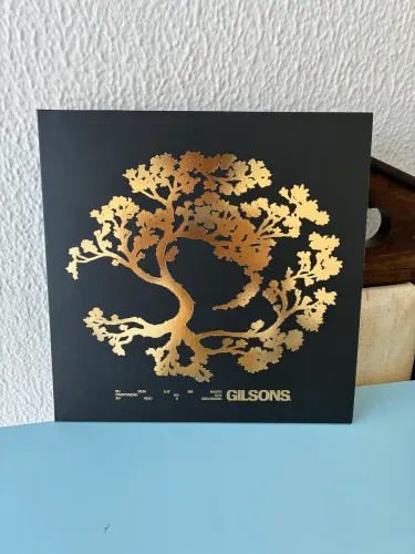 Vinil Gilsons