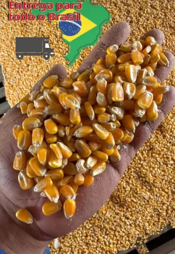 Venda de Milho Quirela e Farelos e demais Produtos Agrícolas