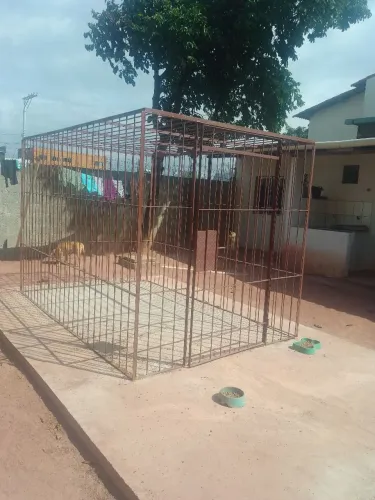 Gaiola pra depósito de gás 