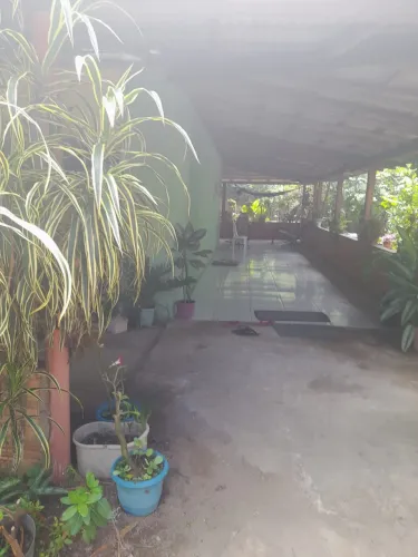 Troca-se casa + sítio em Mucajai