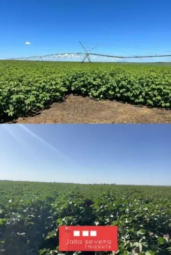 Fazenda para Venda em Bom Jesus da Lapa