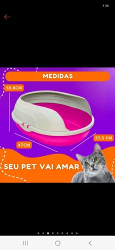 Caixa de areia para gatos