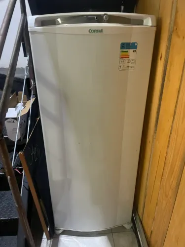Freezer vertical