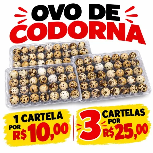 Ovo de codorna