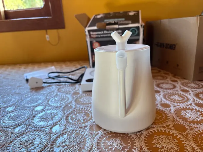 Chaleira eletrica pescoço de ganso 220v