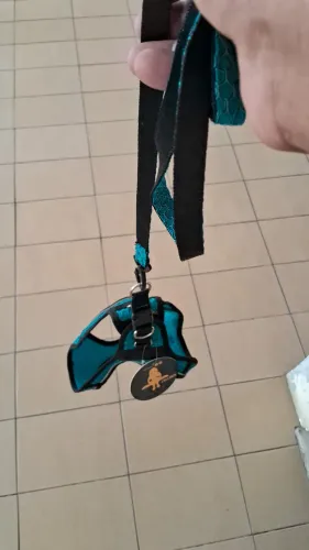 R$80,00 peitoral-30 para cão ou gato