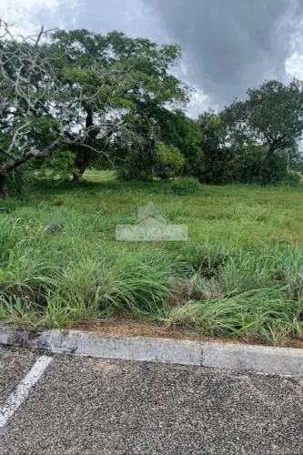 Lote - Ágio 264m² - Flamboyant II