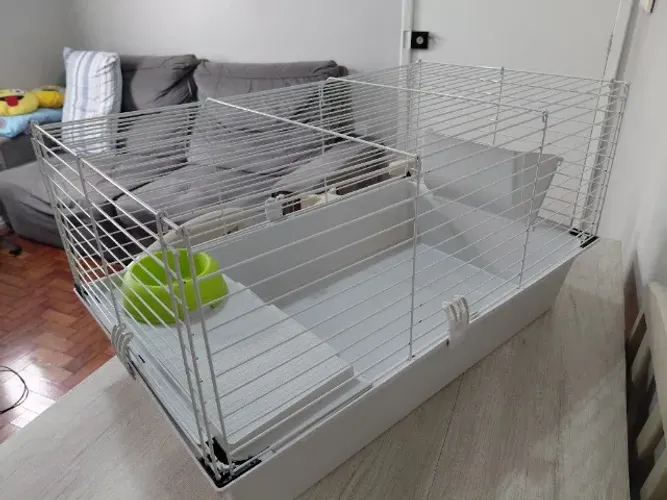 Gaiola para Porquinho da Índia ou Coelho