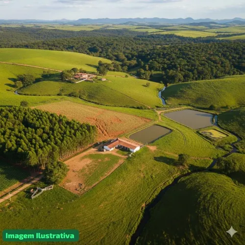 OPORTUNIDADE REAL: Fazenda 300ha em Lagamar/MG - Pronta para Pecuária