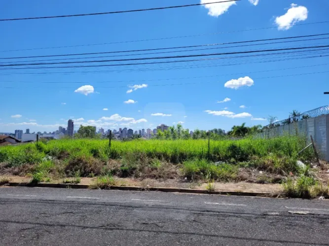 Terreno Para Venda No Bairro Altamira