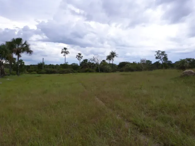 Fazenda de 226 Hectares em Formoso MG Escriturada ACEITA PROPOSTA