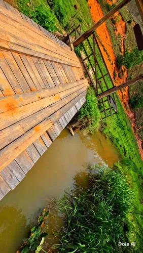 Terrenos com 5.000m, Região de baixada com rio, Energia elétrica disponível, PARCELO.