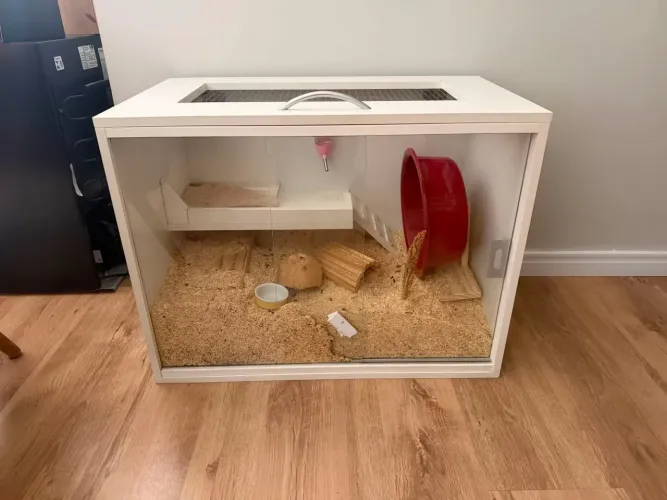 TERRÁRIO PARA HAMSTER