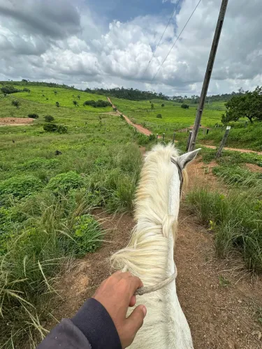 Fazenda à venda