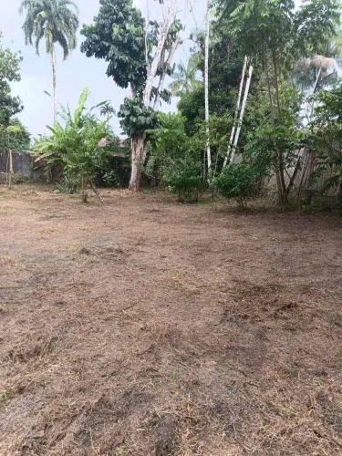 Tereno