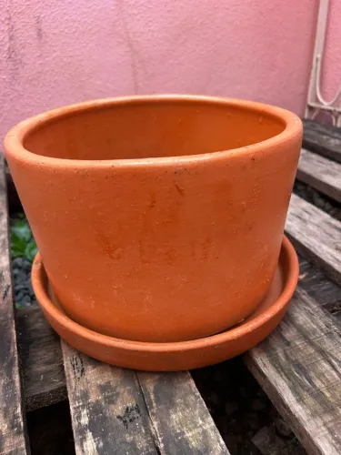 Vaso de Terracota com Prato - 26 cm - Campeche (Floripa)