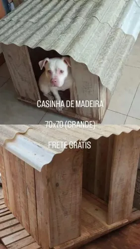 Casinha de cachorro grande